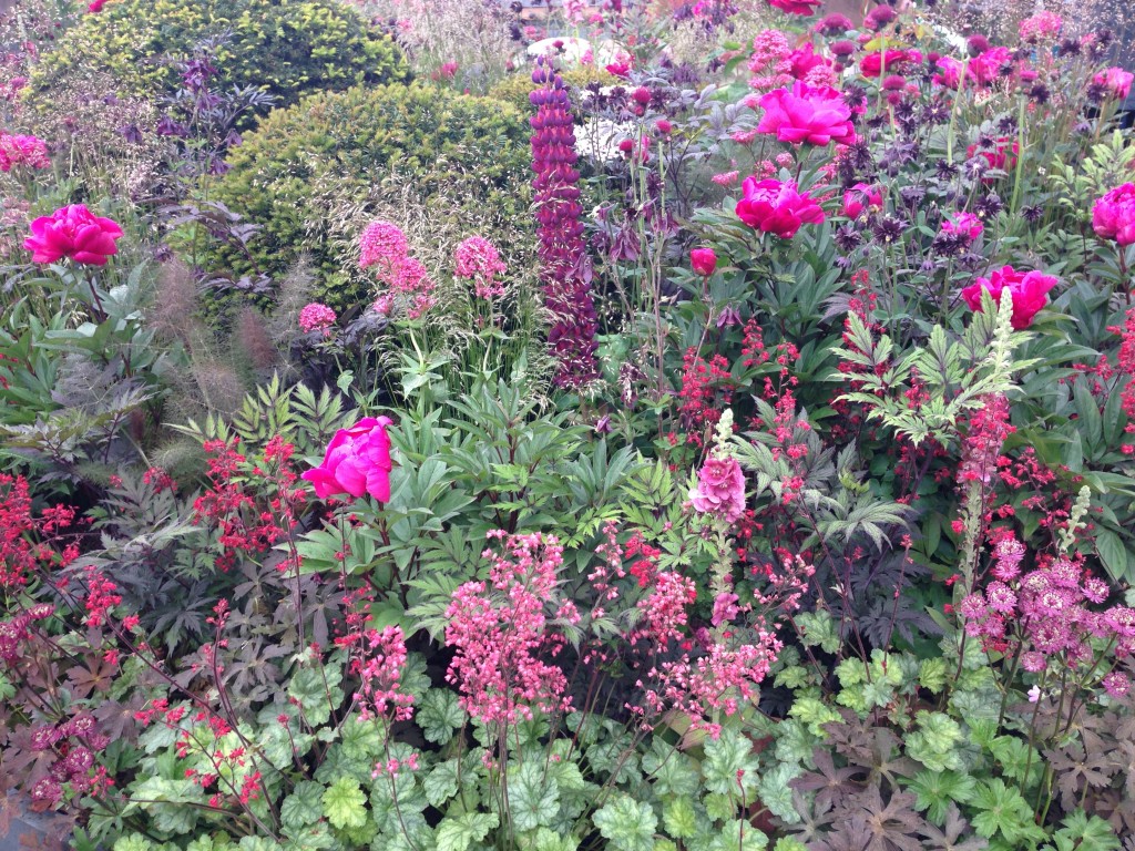 Chelsea Flower Show 2014