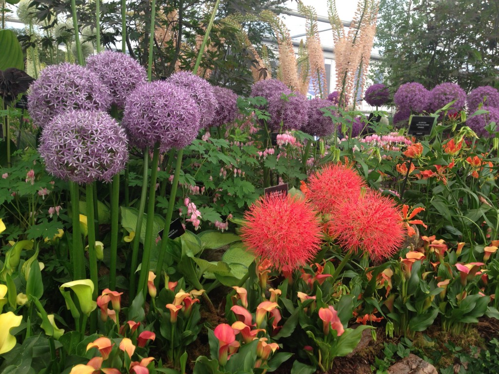 Chelsea Flower Show 2014