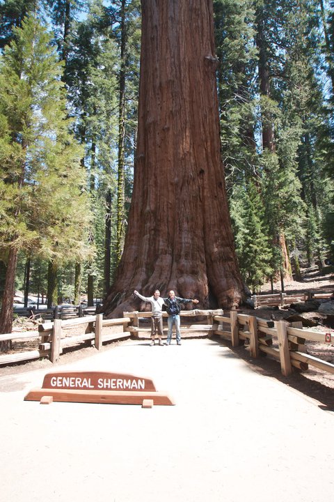 Sequoia National Park
