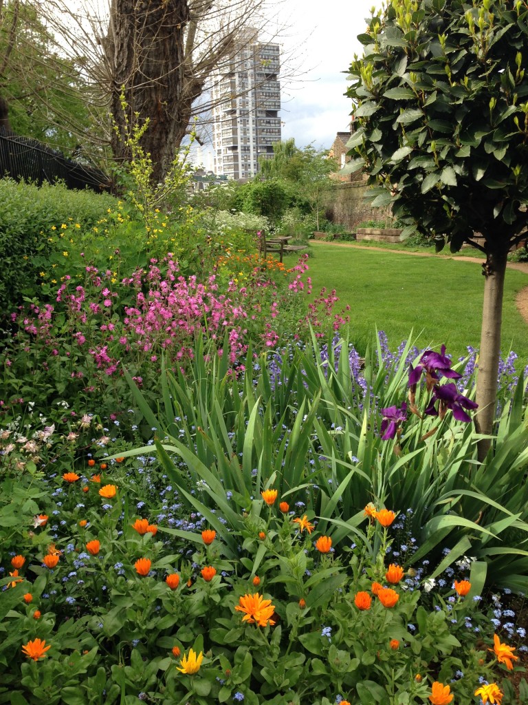 Eden Community Garden Clapham Old Town