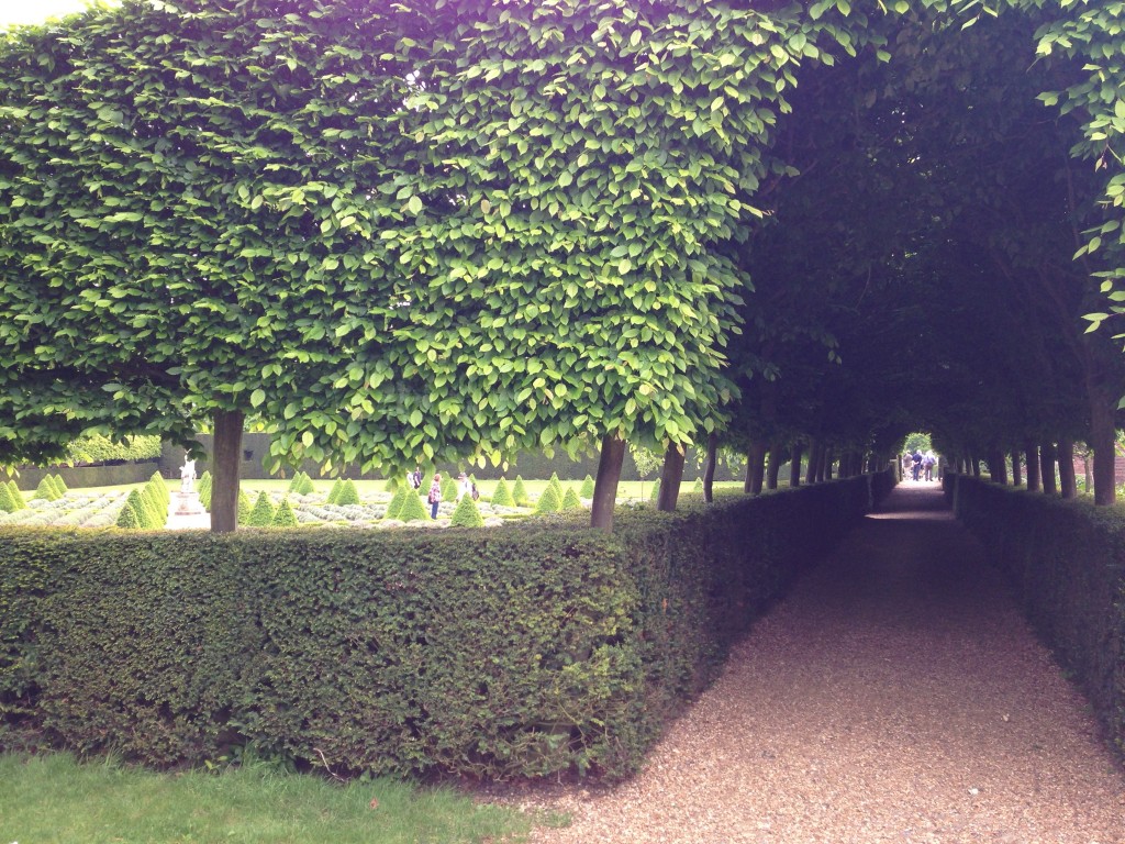 Ham House, Richmond, topiary