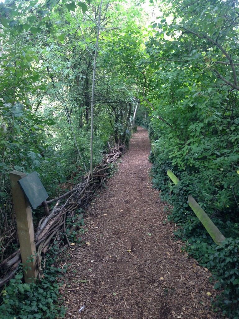 Lovely woodland pathways take you out of the city, despite being in the heart of it
