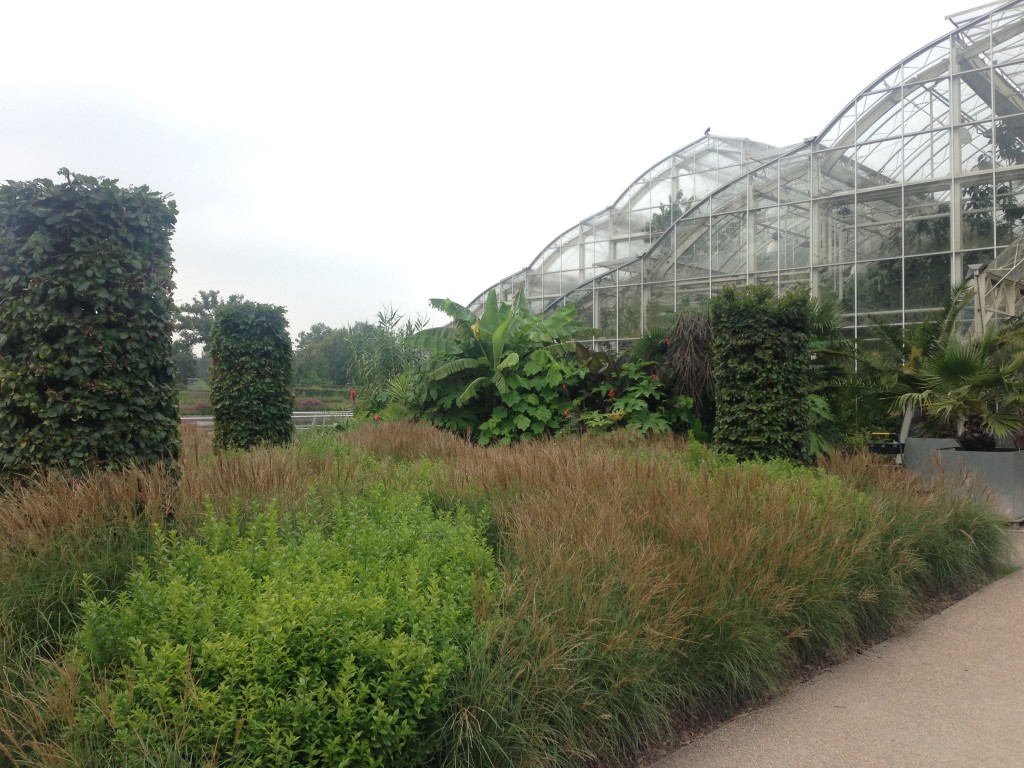 The main glass house surrounded by plantings. The view outside and glass house itself is stunning. 