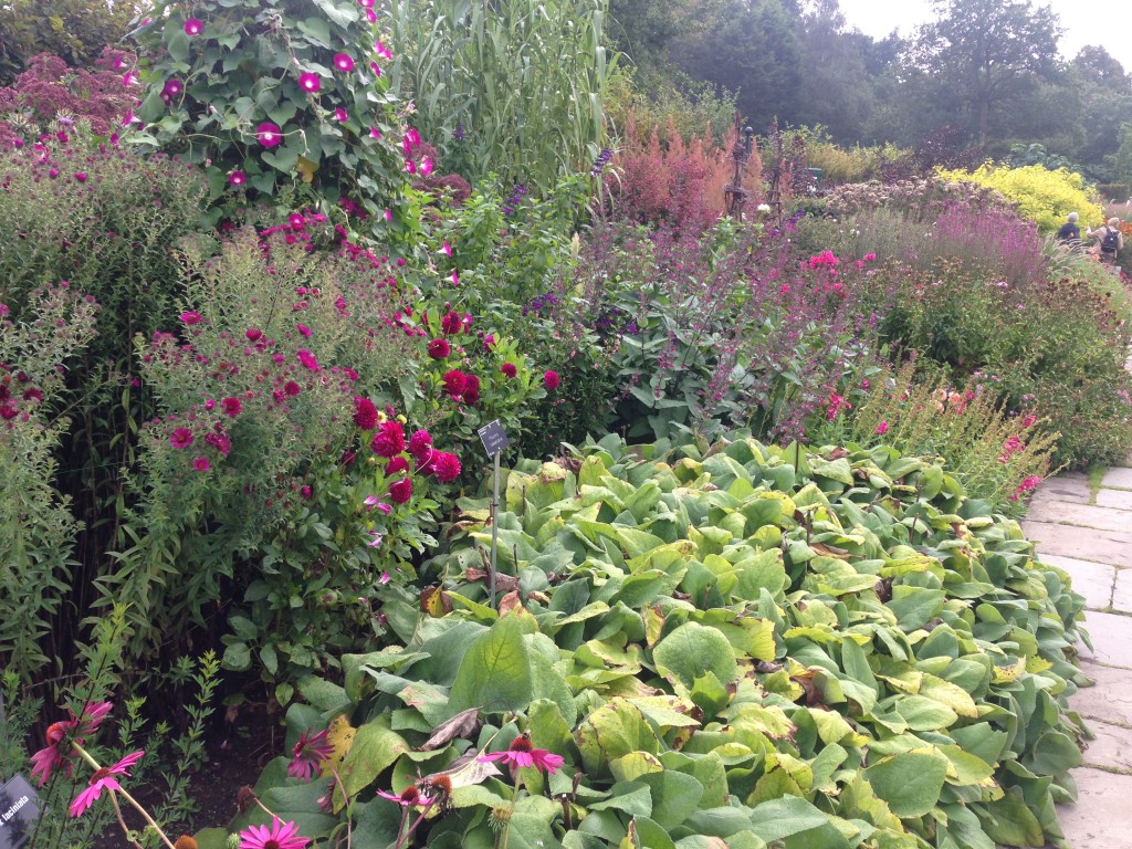 Red hot border at RHS Wisley September 2014