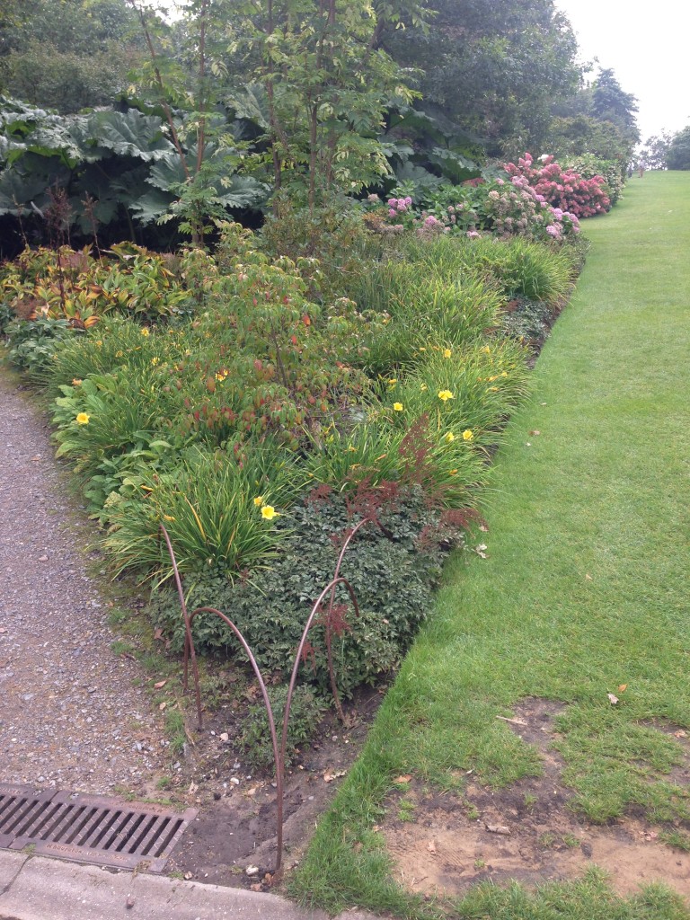 Beautiful Autumn borders - RHS Wisley September 2014