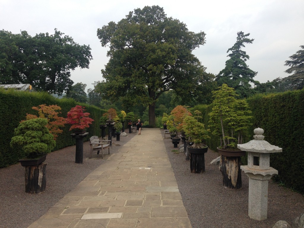 I'll visit RHS Wisley again purely for this little walk way alone. 