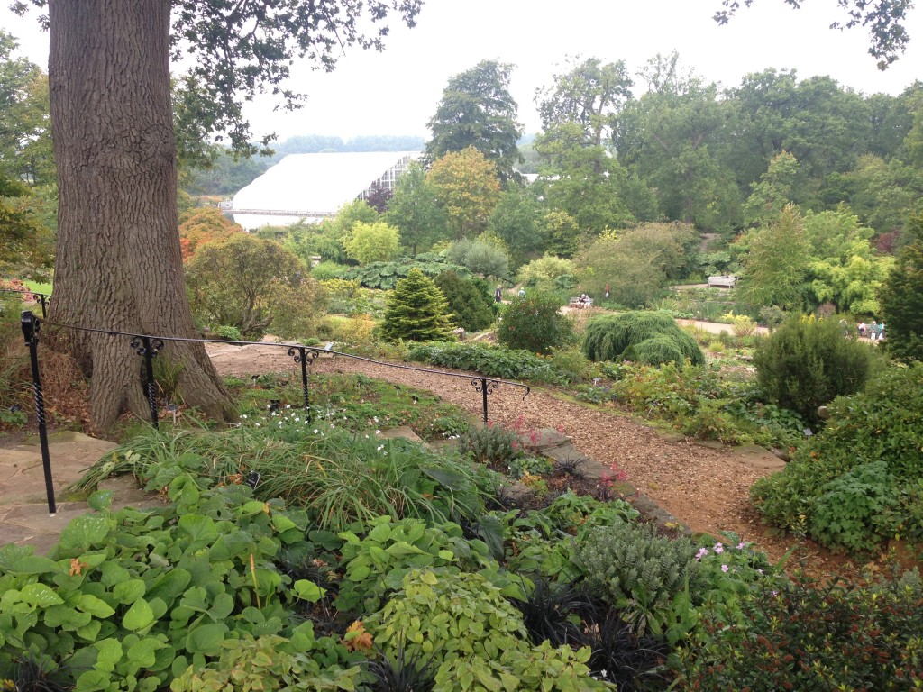 RHS Wisley September 2014