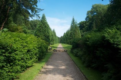 Biddulph's incredible Wellingtonia Walk