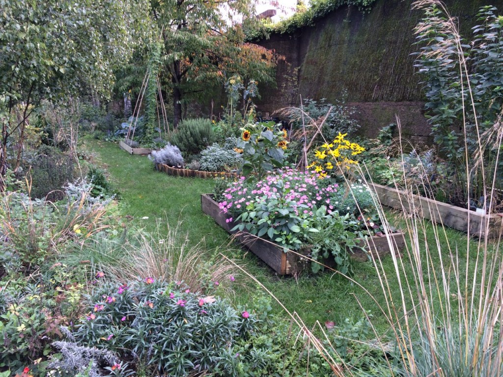 Wandsworth Town community garden still looks amazing