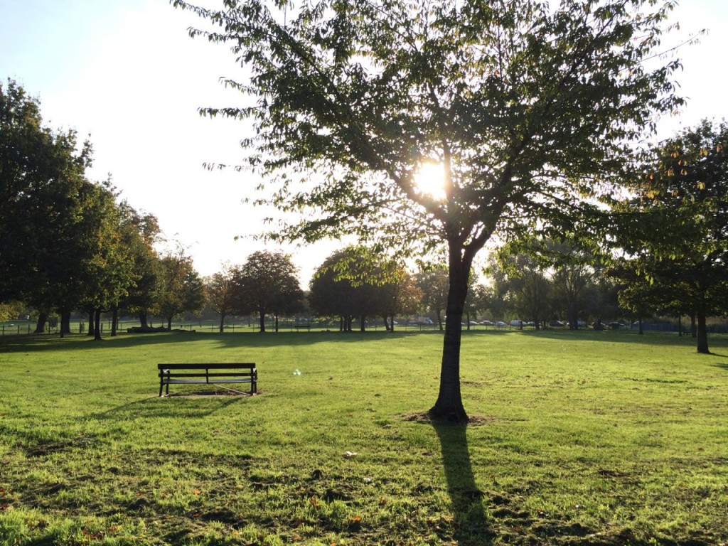 Clapham Common - sunny but cold morning, leaves dropping off all trees now