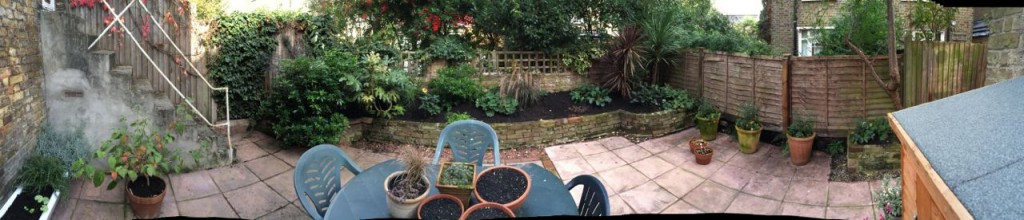 Our Garden on the 22nd Oct