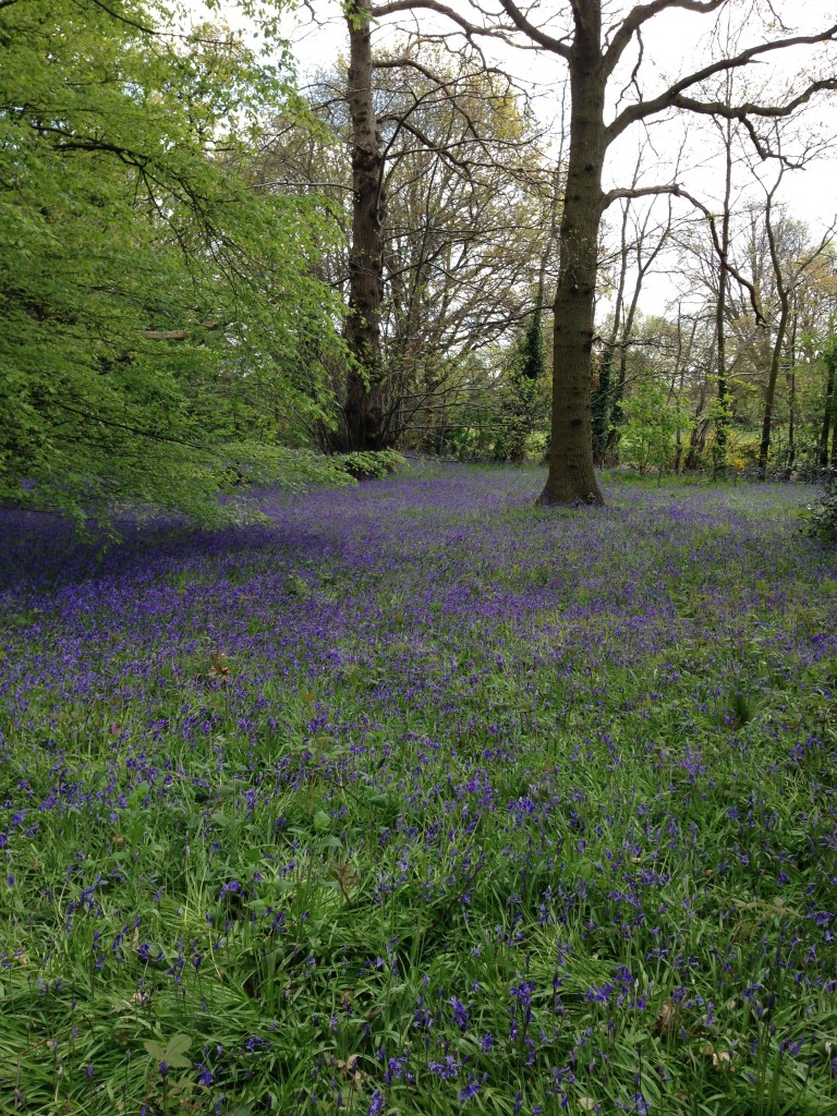 Kew Gardens spring 2014