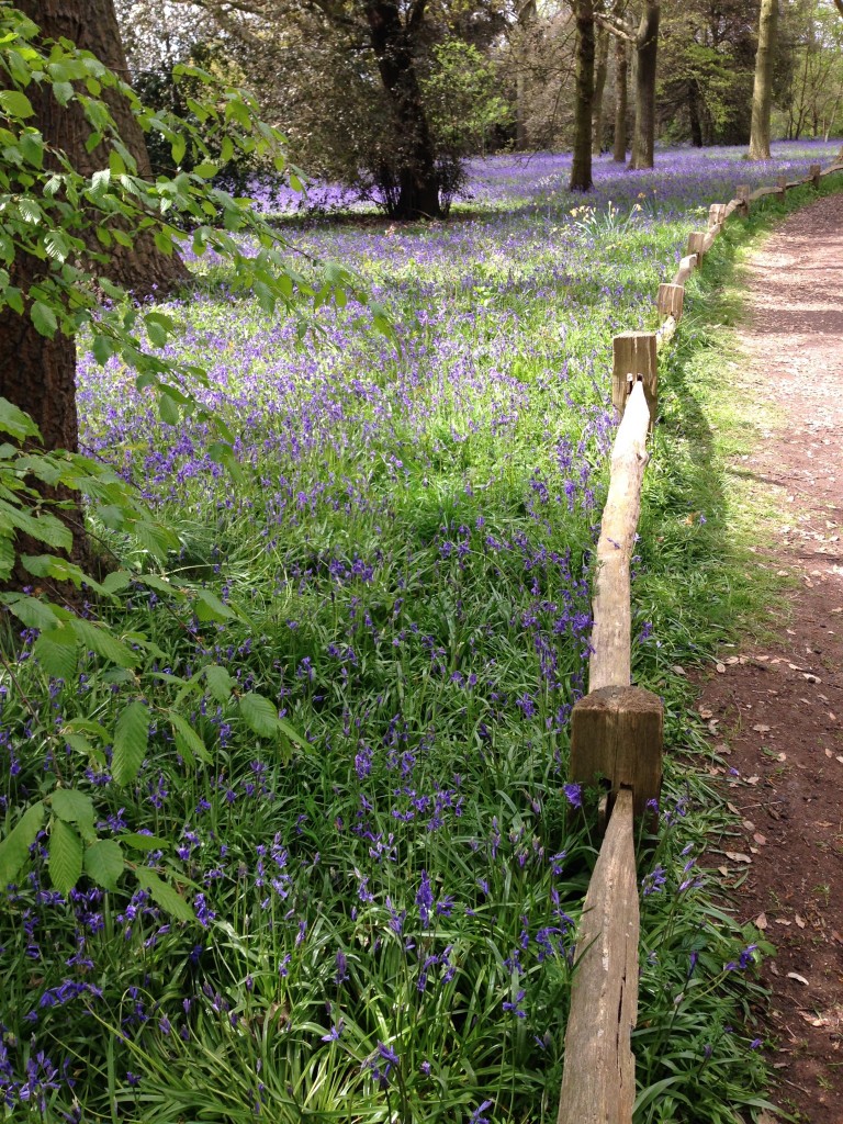 Kew Gardens spring 2014