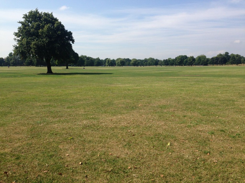 Clapham Common always looks beautiful