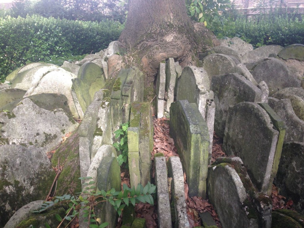 A trees roots growing over a mass pile of gravestones in St Pancras Gardens cemetry