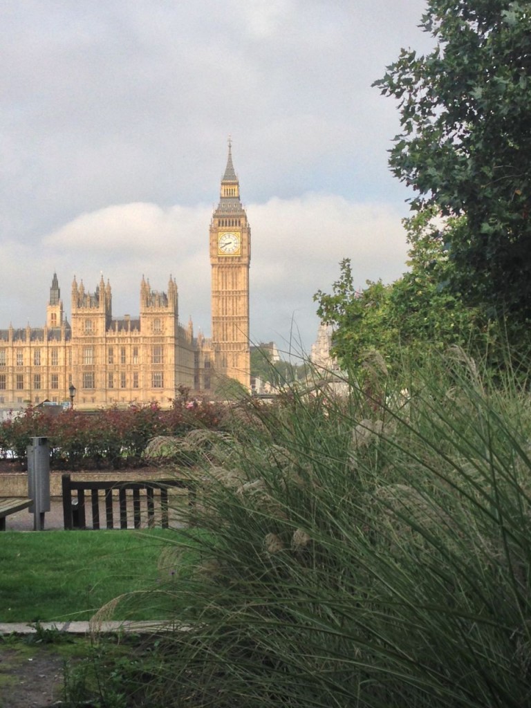 Big Ben and the Houses of Parliament seen from the garden in front of St Thomas' hospital at Waterloo / Southbank 