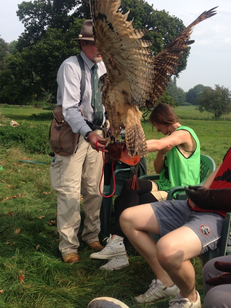 A very big owl