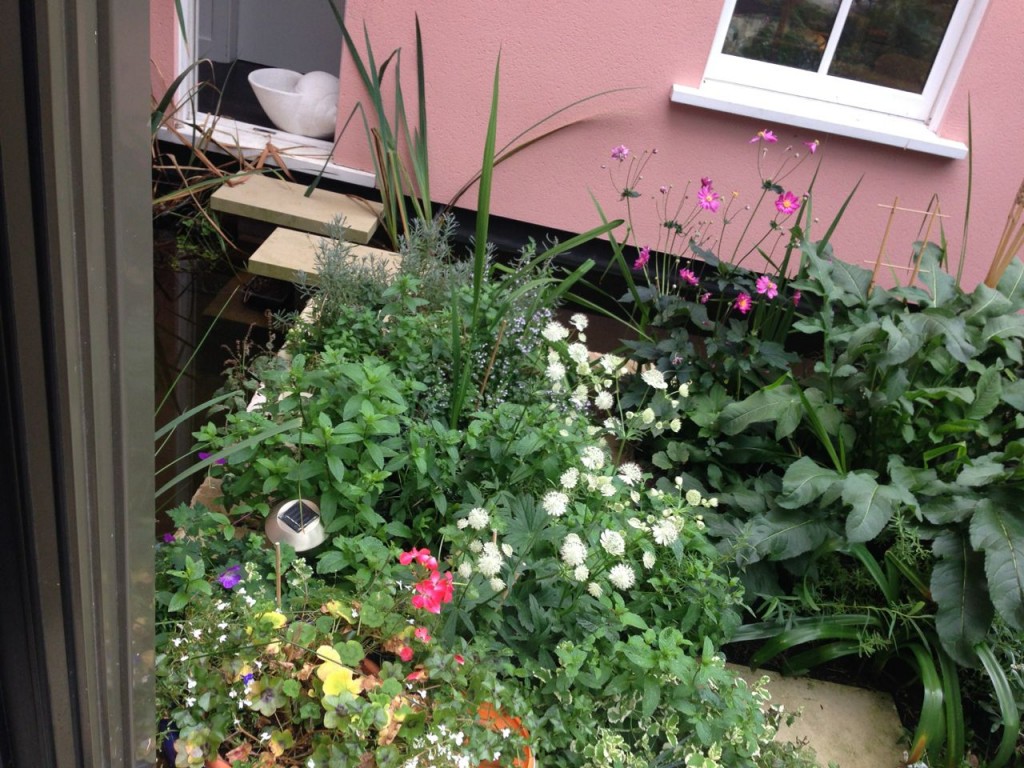 Open House Weekend, a modern Clapham mansion courtyard with man made stream water feature