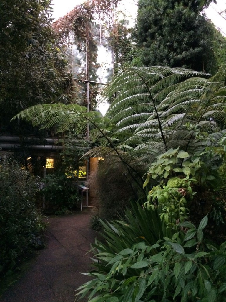 Inside a glasshouse
