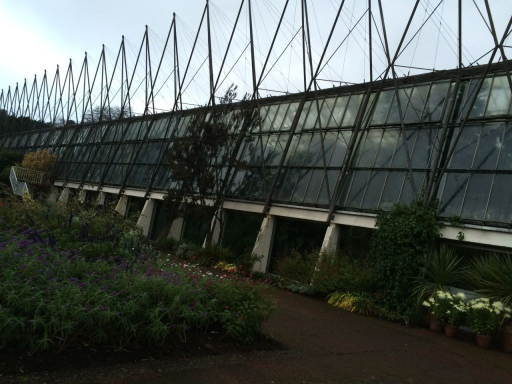 The glasshouse network is vast and maze-like
