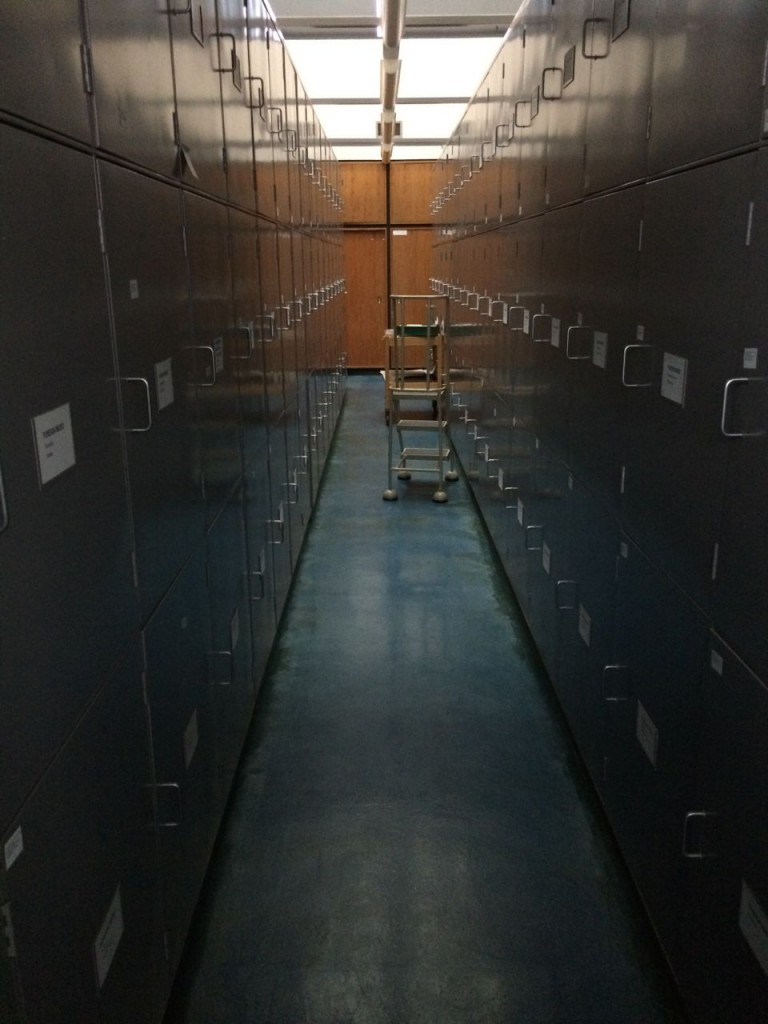 One aisle at the vast herbarium archive at the RGBE