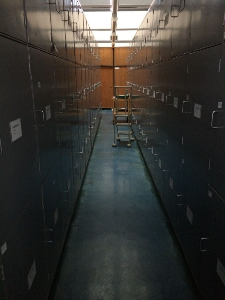 One aisle at the vast herbarium archive at the RGBE