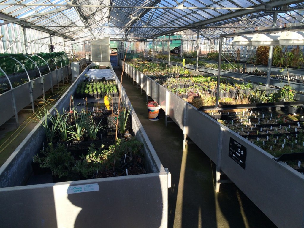 The RGBE's very cool behind the scenes nursery