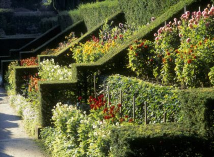 Victorian plantsman, James Bateman, created this incredible scientific and showy Dahlia walk at Biddulph Grange