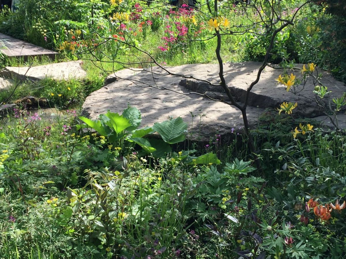 Dan Pearson's Chatsworth Garden, Chelsea Flower Show 2015