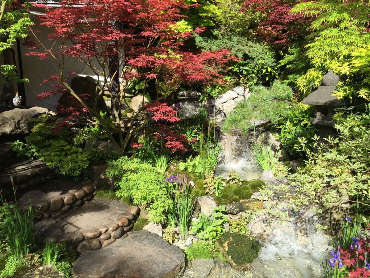 Bonsai, Acers, mosses - what's not to love