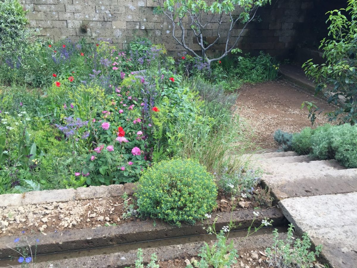 The Perfumer's Garden looked and smelt like the South of France.