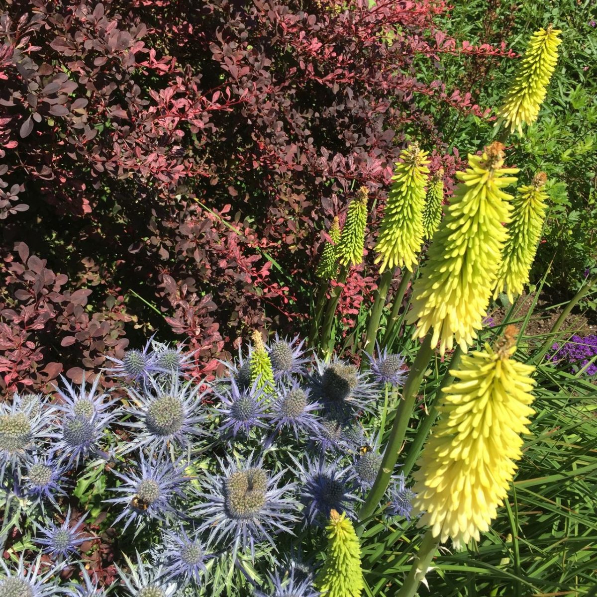 sissinghurst08