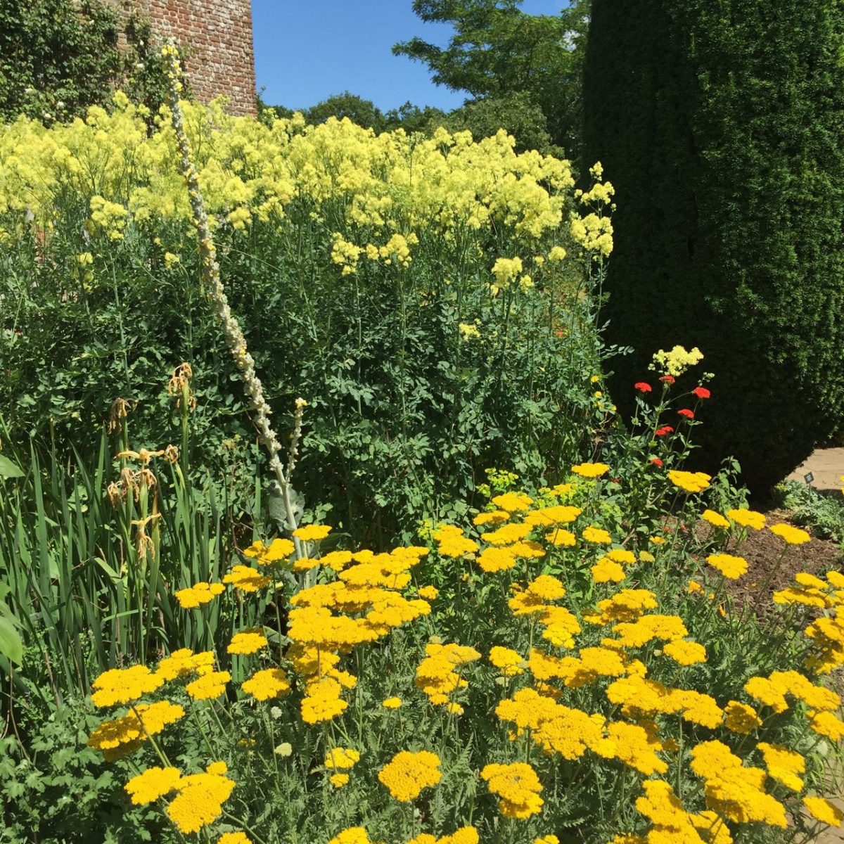 sissinghurst11