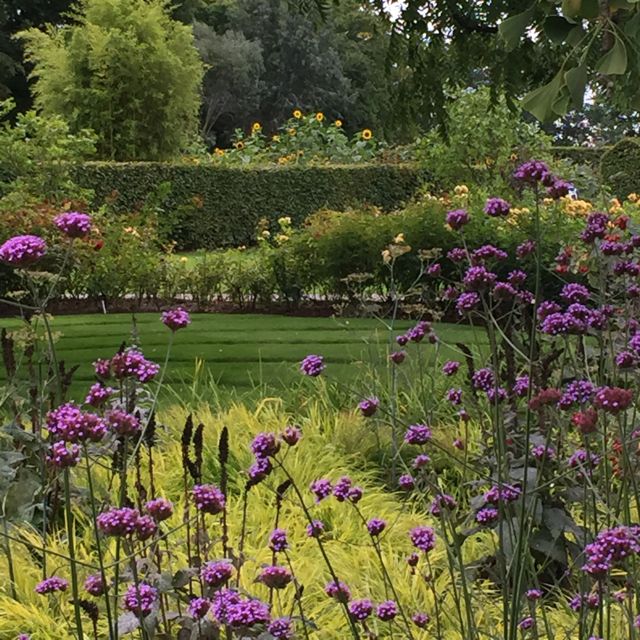rhs-wisley-september-flower-show13