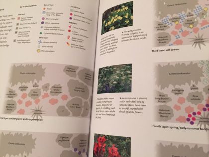 Succession Gardening for Adventurous Gardeners explains with diagrams, photos and clear text - it's an exciting read