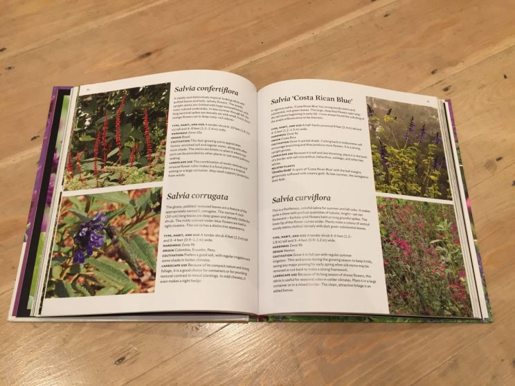 The bulk of the book is made up by a directory which lacks a useful structure and sadly, photography that doesn't make the plants jump out at you.