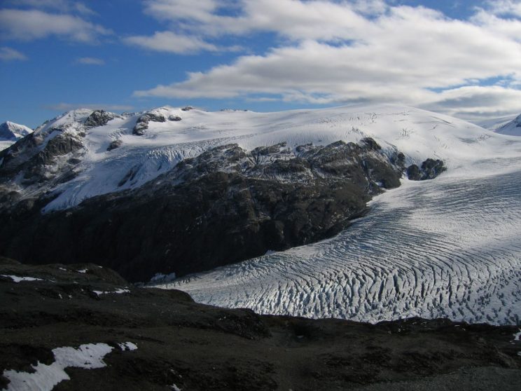 Exit_Glacier 073