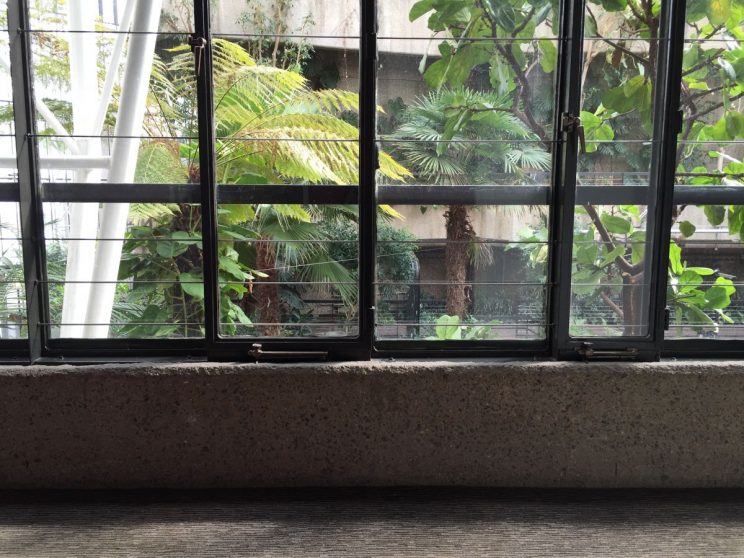 Barbican conservatory