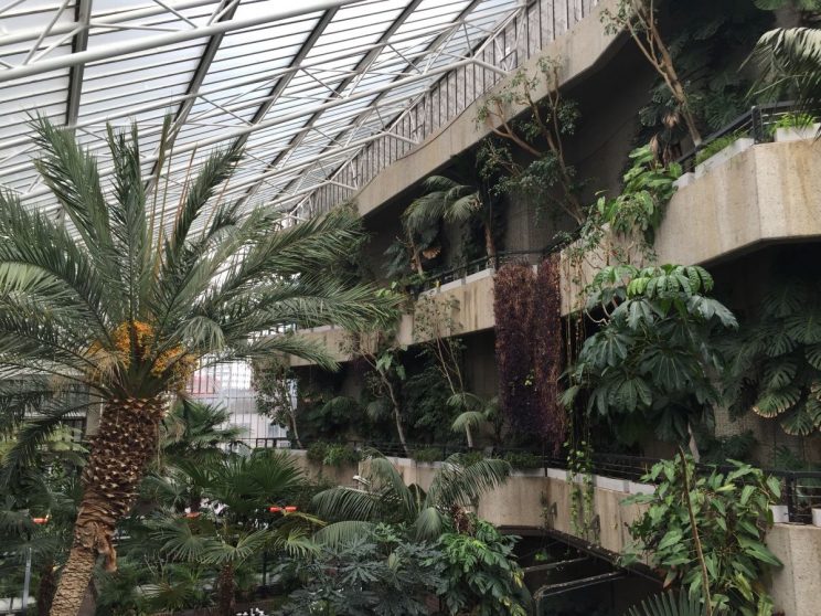 Barbican conservatory