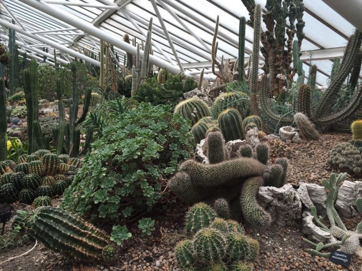 Barbican conservatory