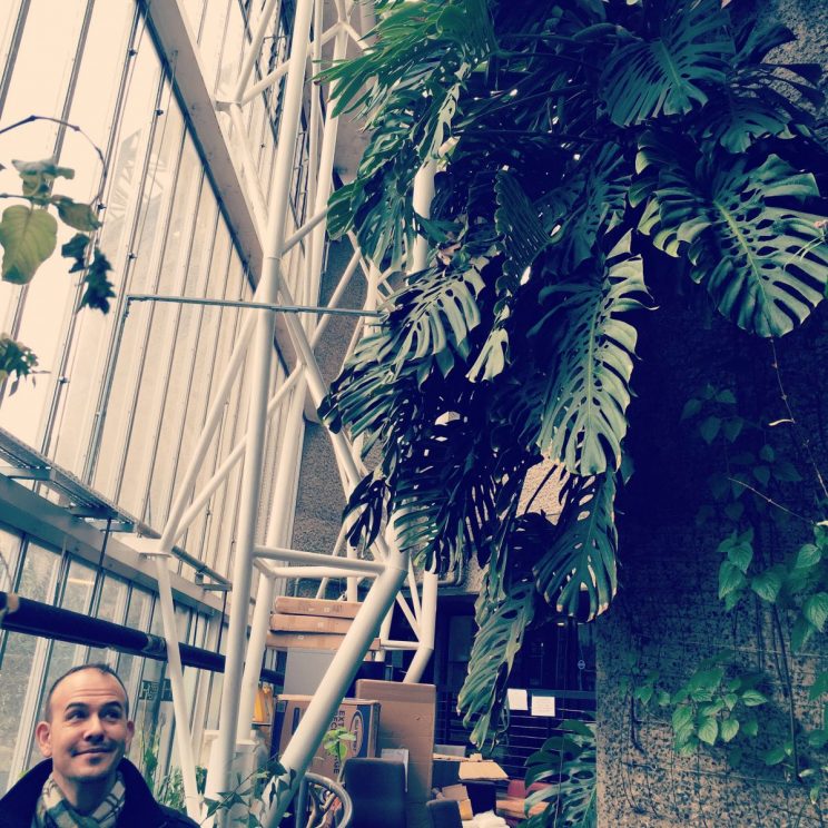 Barbican conservatory