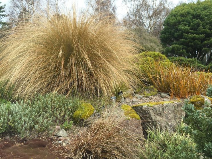 Royal Botanic Garden Edinburgh