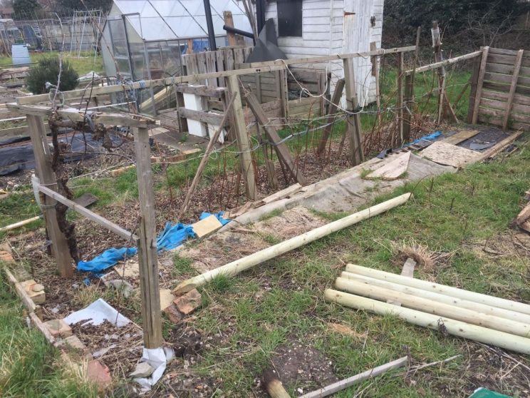 Allotment raspberry support falling