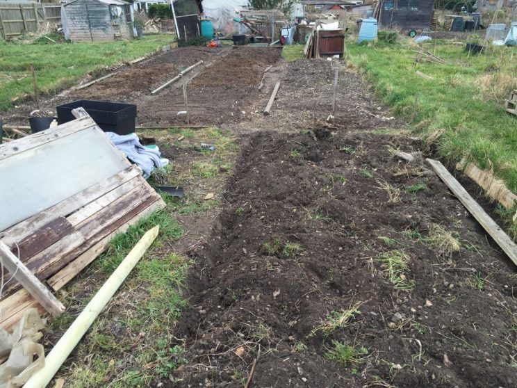 Allotment beds