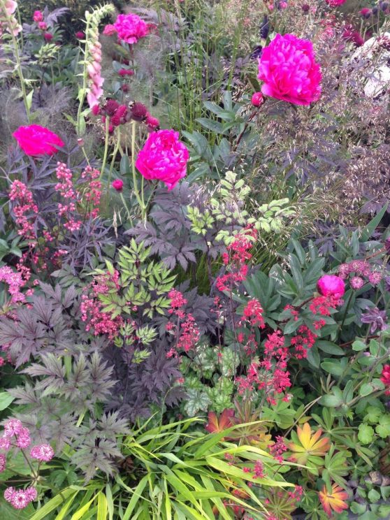 Chelsea Flower Show 2014