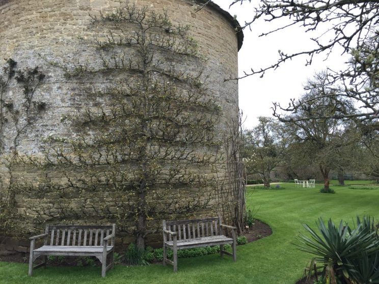 Rousham espalier