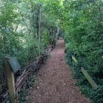 Camley Street Natural Park, King’s Cross, London