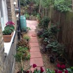 Clapham garden: Autumn is on the way