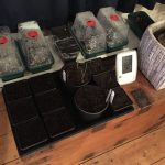 Avoid damping off during indoor propagation