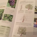 Book Review: RHS Complete Gardener’s Manual